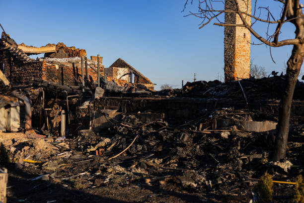 Reliable Content Restoration contractor in Clearwater Beach, FL by Fire Damage Flint
